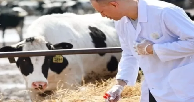Tarımsal girdi Mart’ta yükseldi... Veteriner harcamaları revaçta