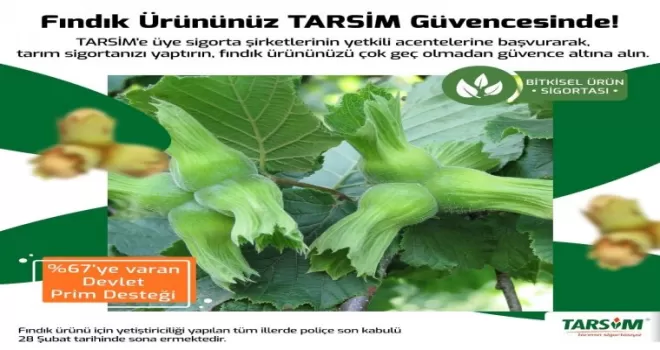 TARSİM: ’’Fındık için son sigorta tarihi 28 Şubat’’
