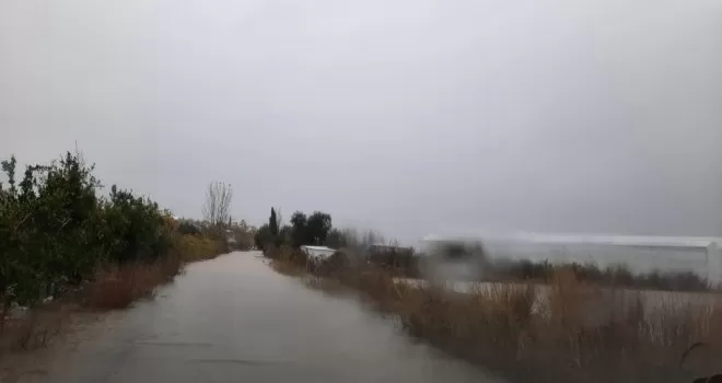 TARSİM: “Ülkemiz için üreten ve alın teri döken üreticimizin daima yanındayız”
