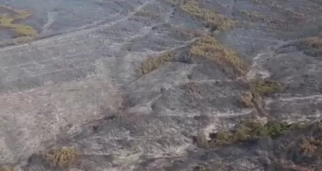 Tekirdağ Şarköy’deki yangın kontrol altında
