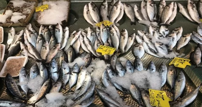Tezgahlarda balık bolluğu