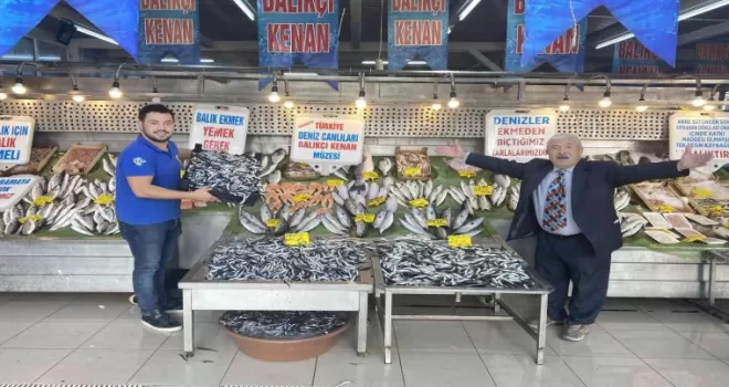 Tezgahlarda hamsinin kilogramı 10 liraya kadar düştü
