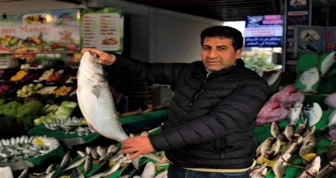 Tezgahlarda kofana bolluğu yaşanıyor

