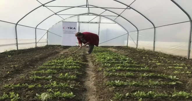 TİKA ile Bosnalı anneler tarımsal ekonomiye katkı sağlıyor
