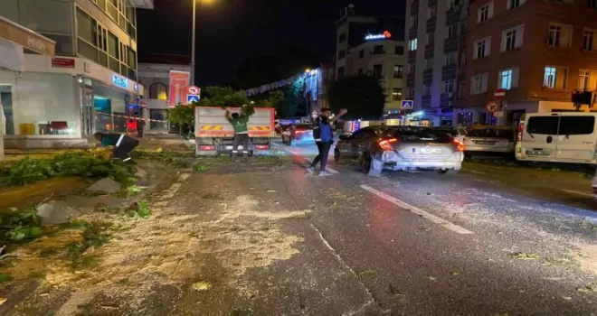 TIR’ın çarptığı ağaç ortadan ikiye ayrıldı

