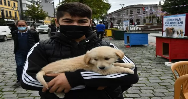 Trabzon’da 4 Ekim Dünya Hayvanları Koruma Günü etkinlikleri
