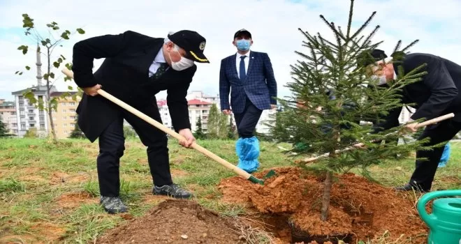 Trabzon’da 40 bin fidanla toprakla buluştu

