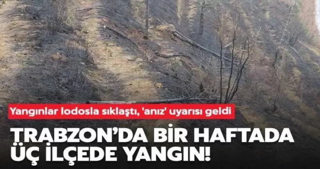 Trabzon’da bir haftada üç ilçede yangın!