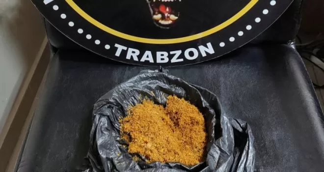 Trabzon'da bonzai ele geçirildi