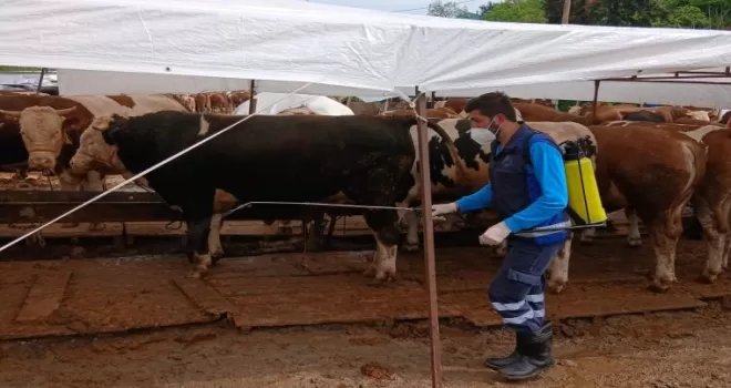 Trabzon’da kurban alanlarında hijyen seferberliği