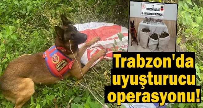 Trabzon’da uyuşturucu operasyonu !