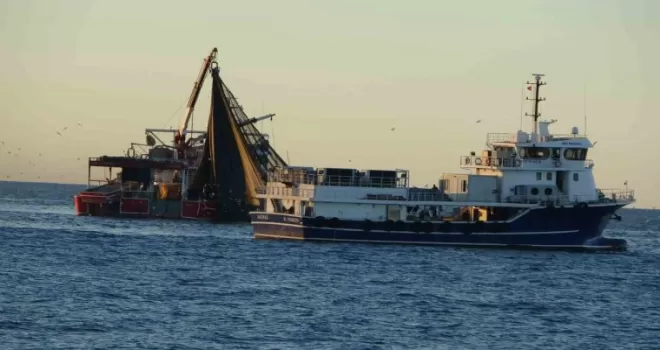 Trabzon’dan 1 Ocak’ta Gürcistan’a hamsi avına gidecekler
