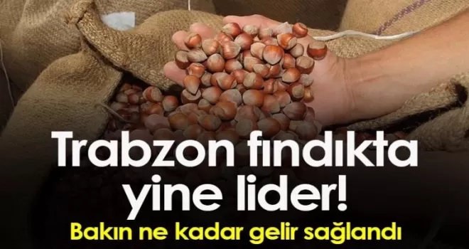 Trabzon fındıkta yine lider! 