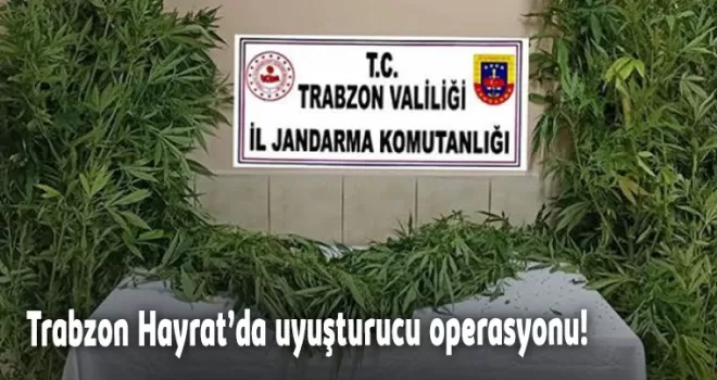 Trabzon Hayrat’da uyuşturucu operasyonu!