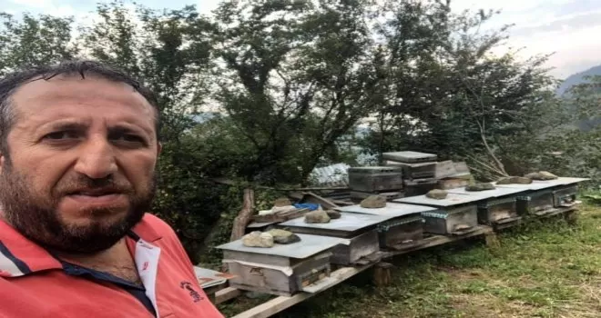 Trabzonlu bal üreticisi arı sokması sonucu hayatını kaybetti
