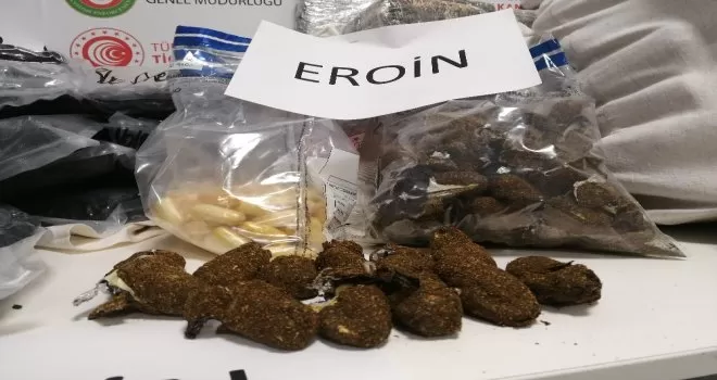 Tropik meyvelerin içerisinden uyuşturucu çıktı

