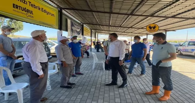 Türkiye’de ilk defa online kurban kesimi

