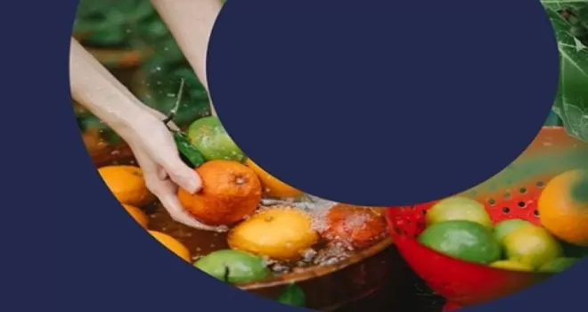 Türkiye’den ’PlantHealth4Life’ kampanyasına destek