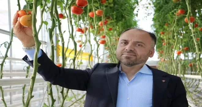 Türkşeker’den sera üretiminde “sözleşmeli tarım” modeli
