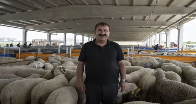 TÜRKYED’den kurbanlık uyarılar!