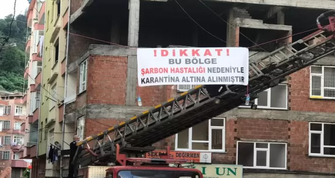 Sürmene'nin Yemişli mahallesinde şarbon karantinası