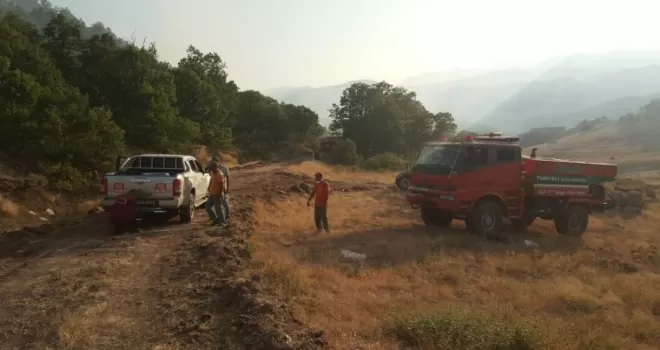 Ülke genelindeki 6 orman yangını kontrol altında
