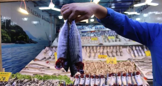 Ulus Hali Balıkçı esnafı meydan okudu
