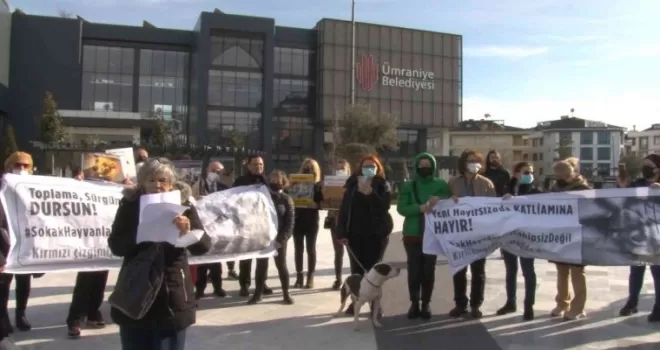 Ümraniye Belediyesi önünde hayvan hakları eylemi
