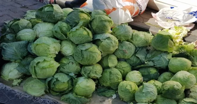 Üreticiler Alucra Keleminin tescillenmesini istiyor

