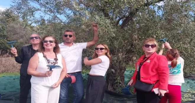 Urla’da zeytin hasadı etkinliği