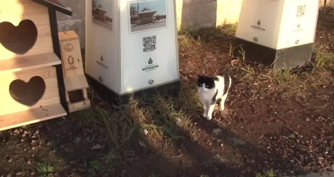 Üsküdar Belediyesi yeni yılın ilk gününde minik dostları unutmadı
