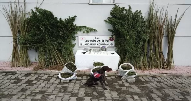 Uyuşturucu köpeği “Sakıt” suçlulara göz açtırmıyor
