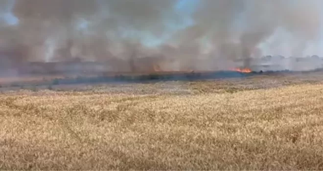 Uzunköprü’de buğday yangını korkuttu