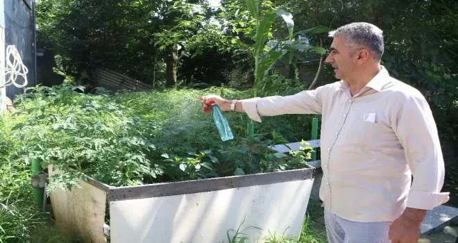 ‘Vampir Kelebek’ istilası yeniden başladı
