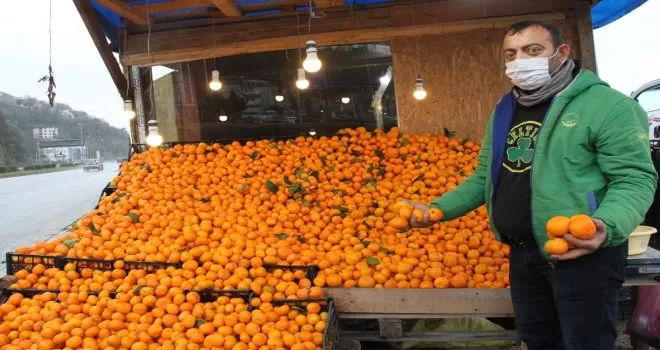 Vitamin deposu Derepazarı mandalinası tezgahları süslüyor
