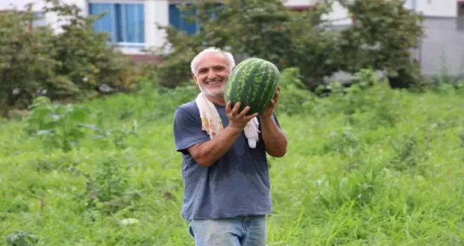 Yalıncak karpuzu tehlike altında
