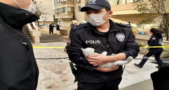Yangında mahsur kalan yavru kediyi polis memuru kurtardı
