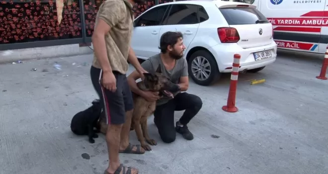 Yangından 12 saat sonra köpeklerini buldu
