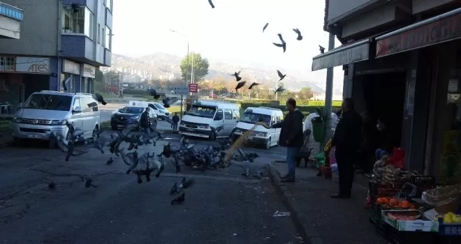Yarım asırdır her gün aralıksız bu işi yapıyorlar
