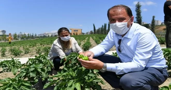 Yaşam Bahçesi ile ihtiyaç sahiplerinin yüzü gülüyor
