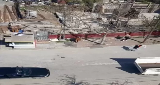 Yaşlı kadın eline demir sopa aldı, hırsızları kovaladı
