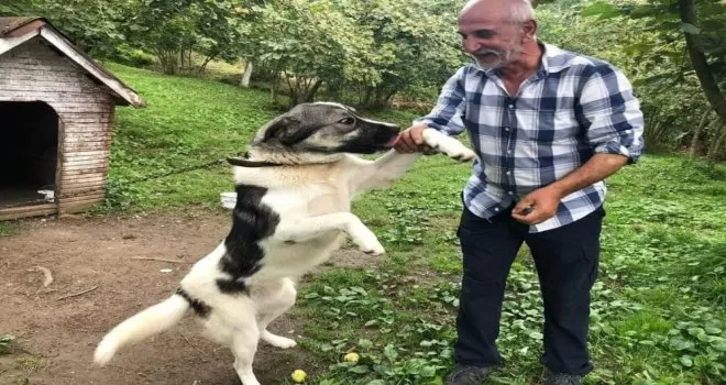Yayladaki evinde ölü bulundu
