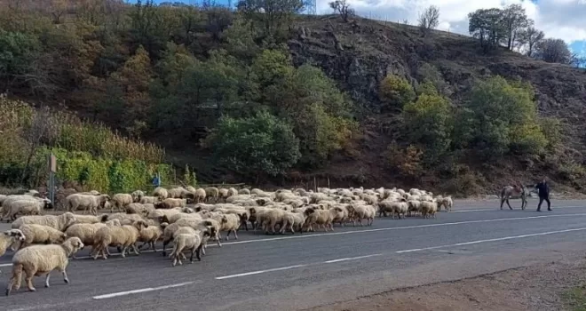 Yayladan dönüş başladı
