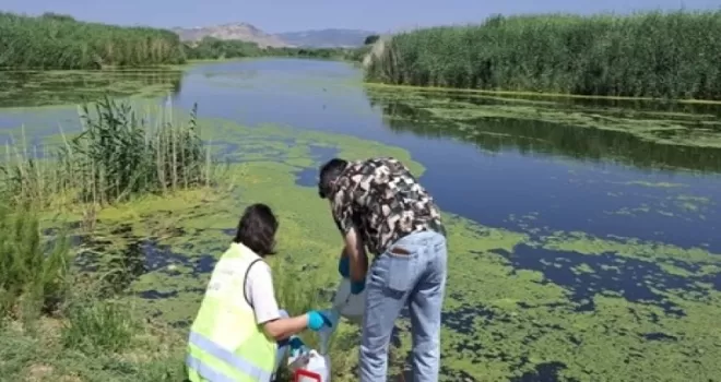 Yaz aylarında Gediz’de kirlilik yükselişe geçti
