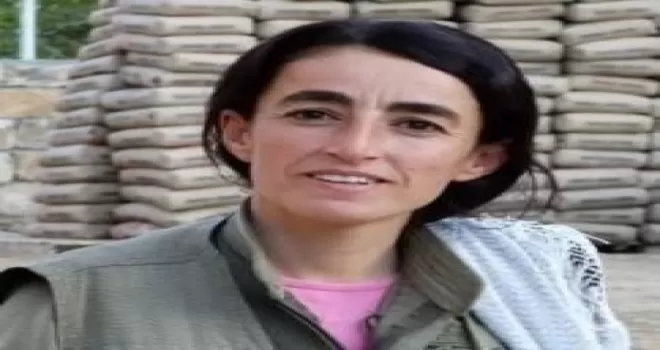 Yeşil kategoride aranan terörist Mardin’de etkisiz hale getirildi
