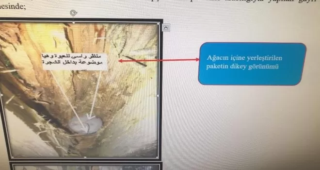 Yılbaşında eylem hazırlığındaki DEAŞ üyesi teröristler yakalandı
