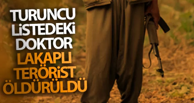 Tunceli’de Turuncu Liste’de yer alan ’Doktor’ lakaplı terörist öldürüldü