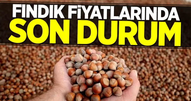 Fındık fiyatları yükseliyor!