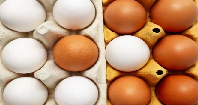 Yumurtanın doğrudan arzında limit artışı... Resmi Gazete’de yayımlandı