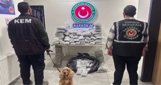Zehir tacirlerine darbe! 659 kilo uyuşturucu ele geçirildi